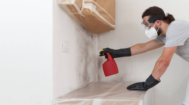 Professional Crawl Space Mold Remediation technician working in Painter, VA
