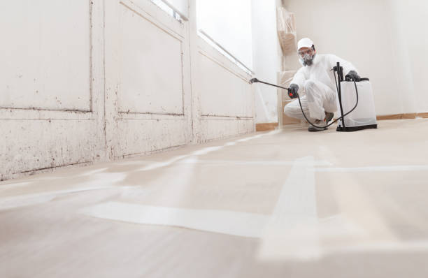 24/7 Emergency Crawl Space Mold Remediation experts in Painter, VA